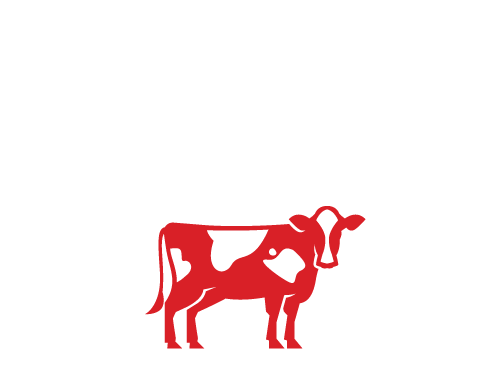 Kurban İbadeti